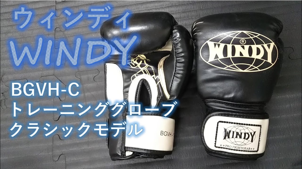 da17v WINDY グローブ 8oz(マジックテープ) da17v WINDY グローブ 8oz