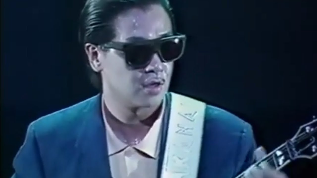 高中正義 Tropic Flogger ギターエフェクター 高中正義 Tropic Flogger