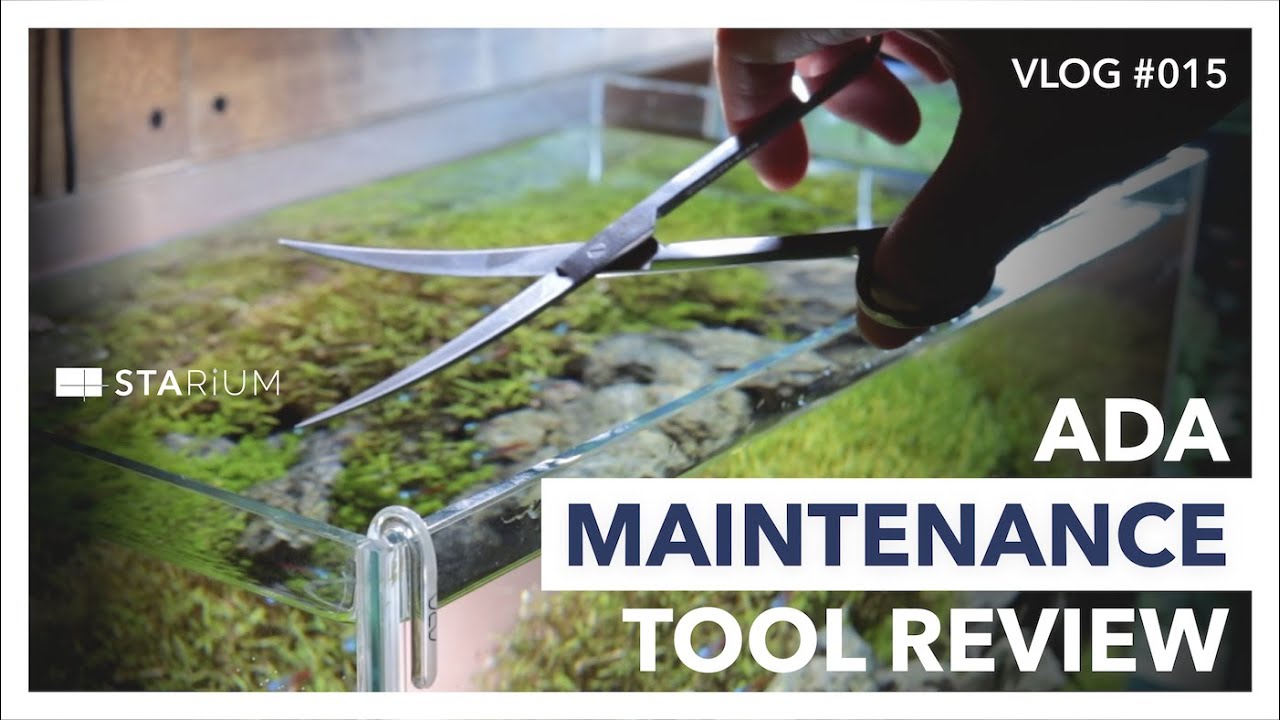 アクアリウム】4種類のADAメンテナンスツールを一気に紹介/ADA 45cm