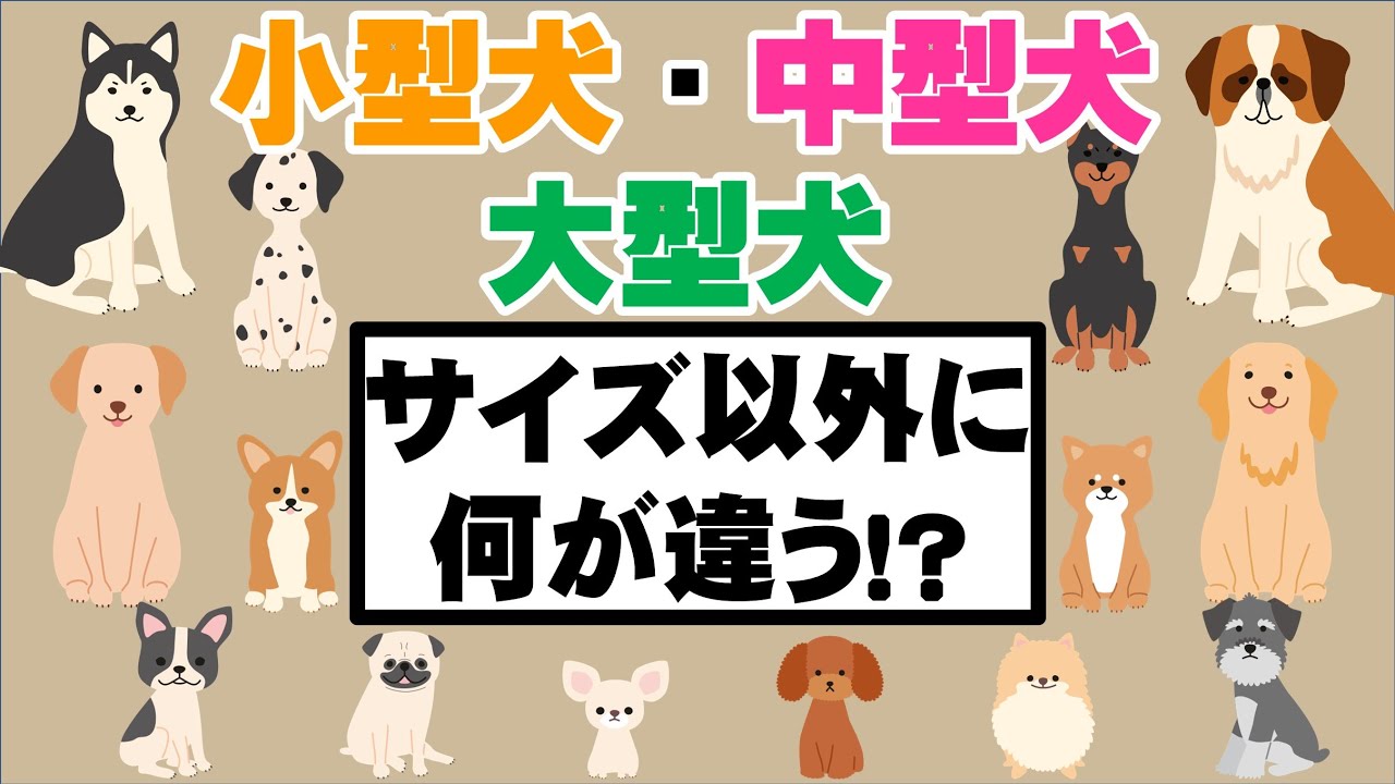 中型犬、大型犬サイズ