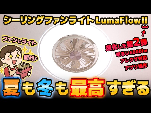 Lighting + fan is the best combination! Review of the ceiling fan