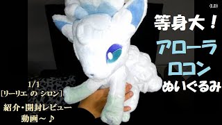 等身大！アローラロコンぬいぐるみ紹介動画～♪ （リーリエのシロン