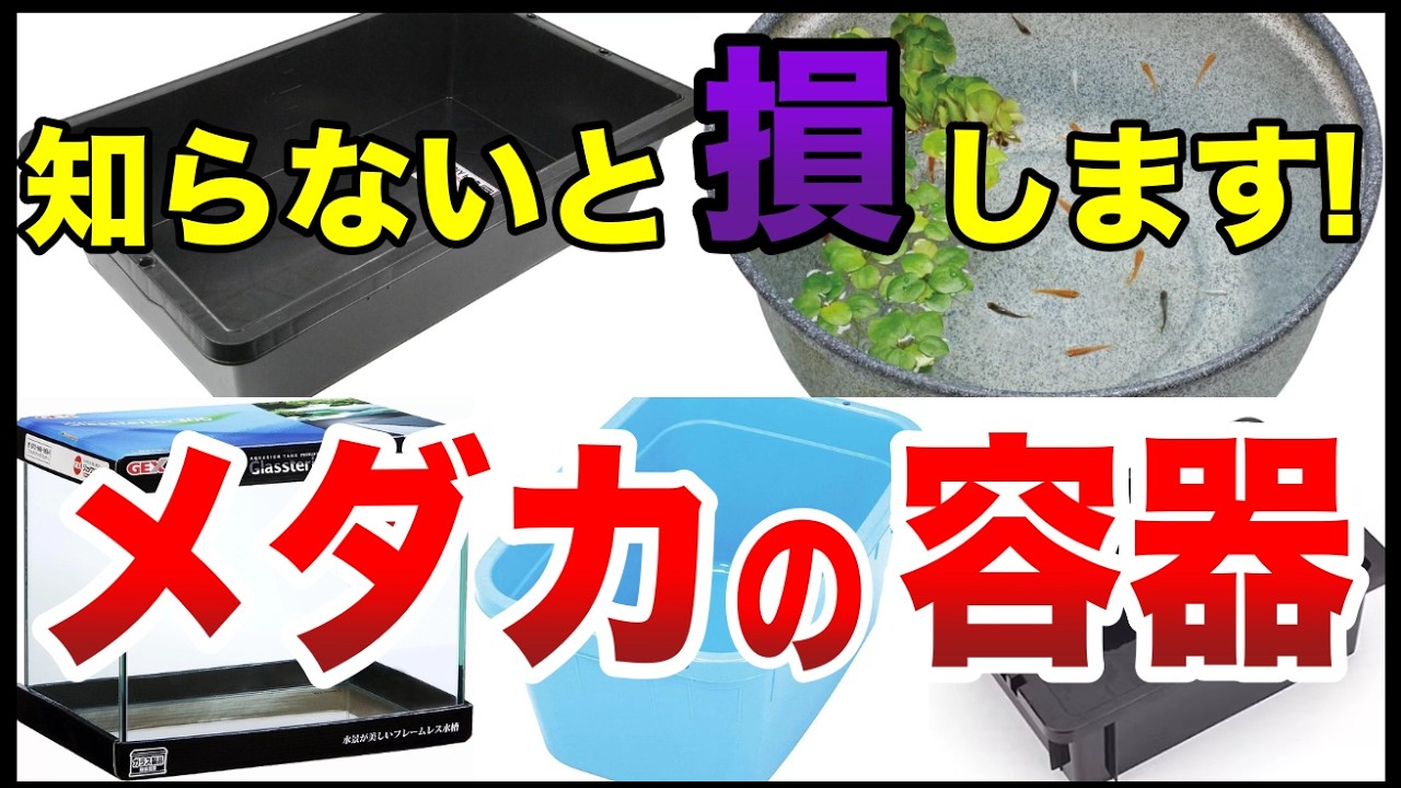 新タイプ】メダカ飼育ケース 120㍑x1個 黒/濃緑選択可 金魚 ビオトープ