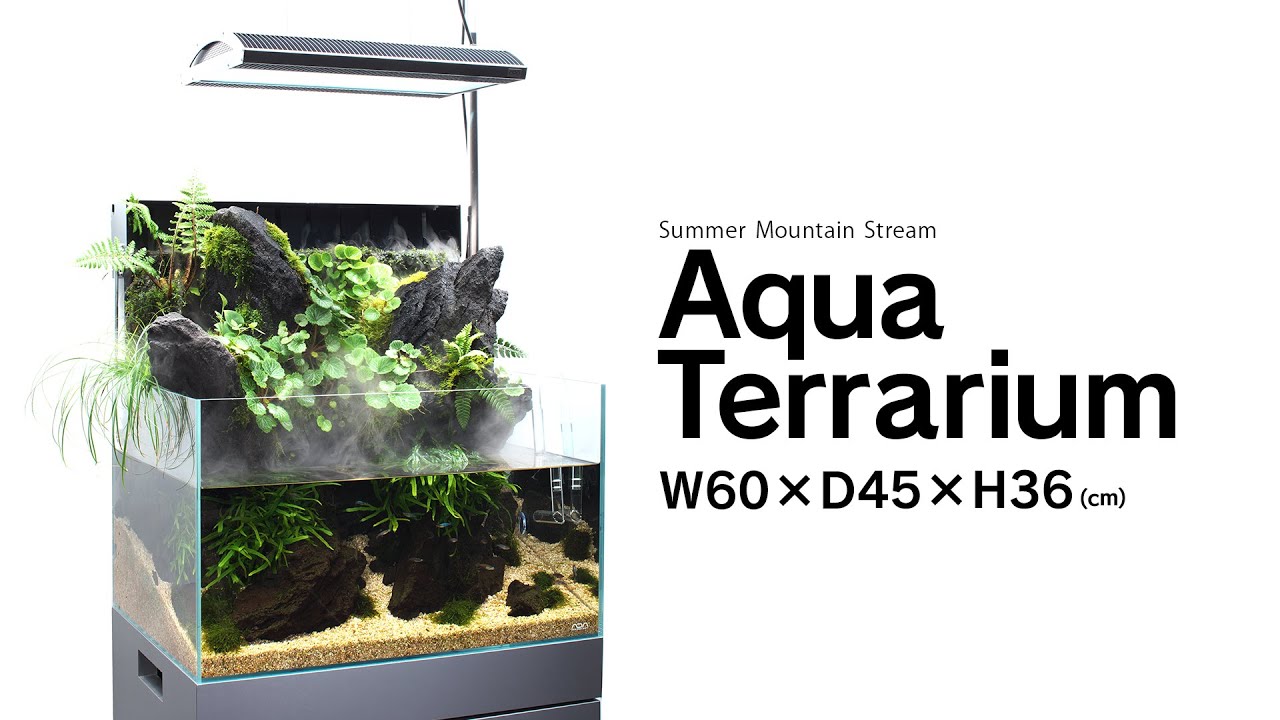 DOOA Wabikusa Wall 60 Setup Tutorial - Asian Aqua Terrarium