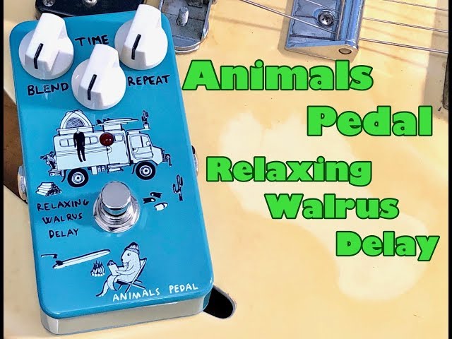 Animals Pedal / Relaxing Walrus Delay 【弾きながらレビュー