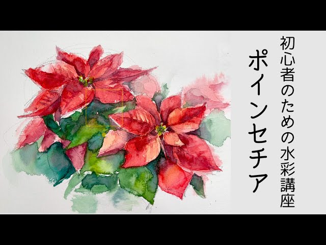 初心者のための透明水彩109】三原色/ポインセチアの描き方/クリスマス