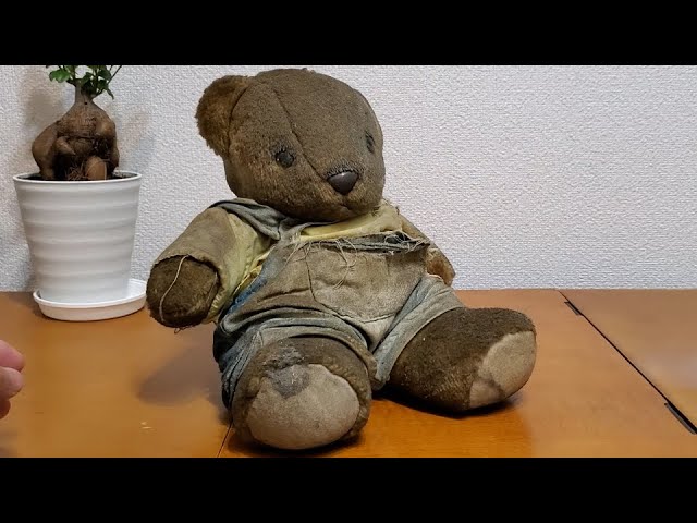 Laundry] I washed Kuma-chan, a store that closed 10 years ago