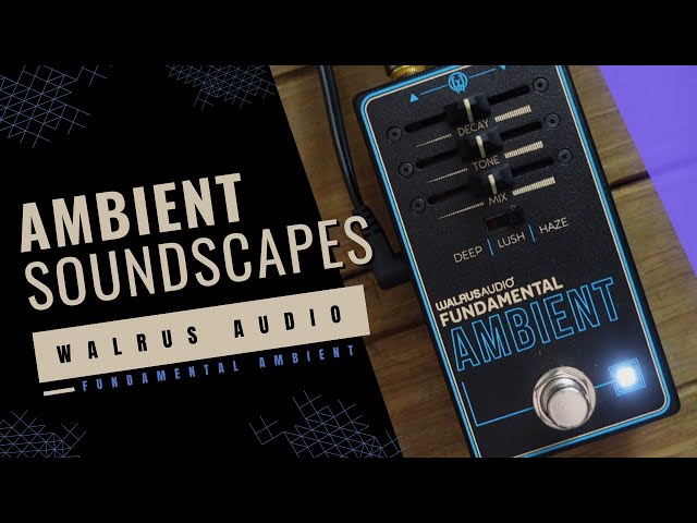 Walrus Audio Fundamental Ambient Reverb Pedal Demo - YouTube