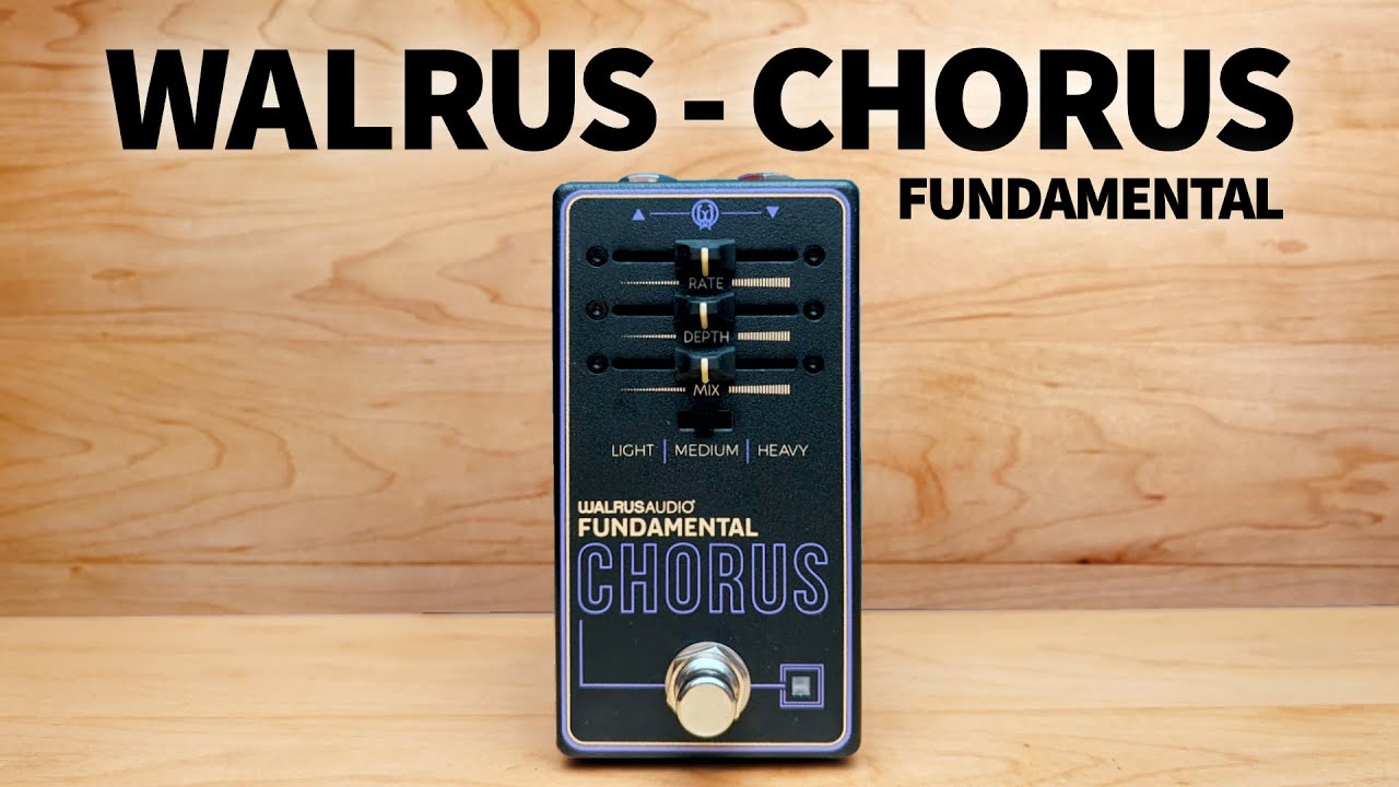 Walrus - Fundamental Chorus - YouTube