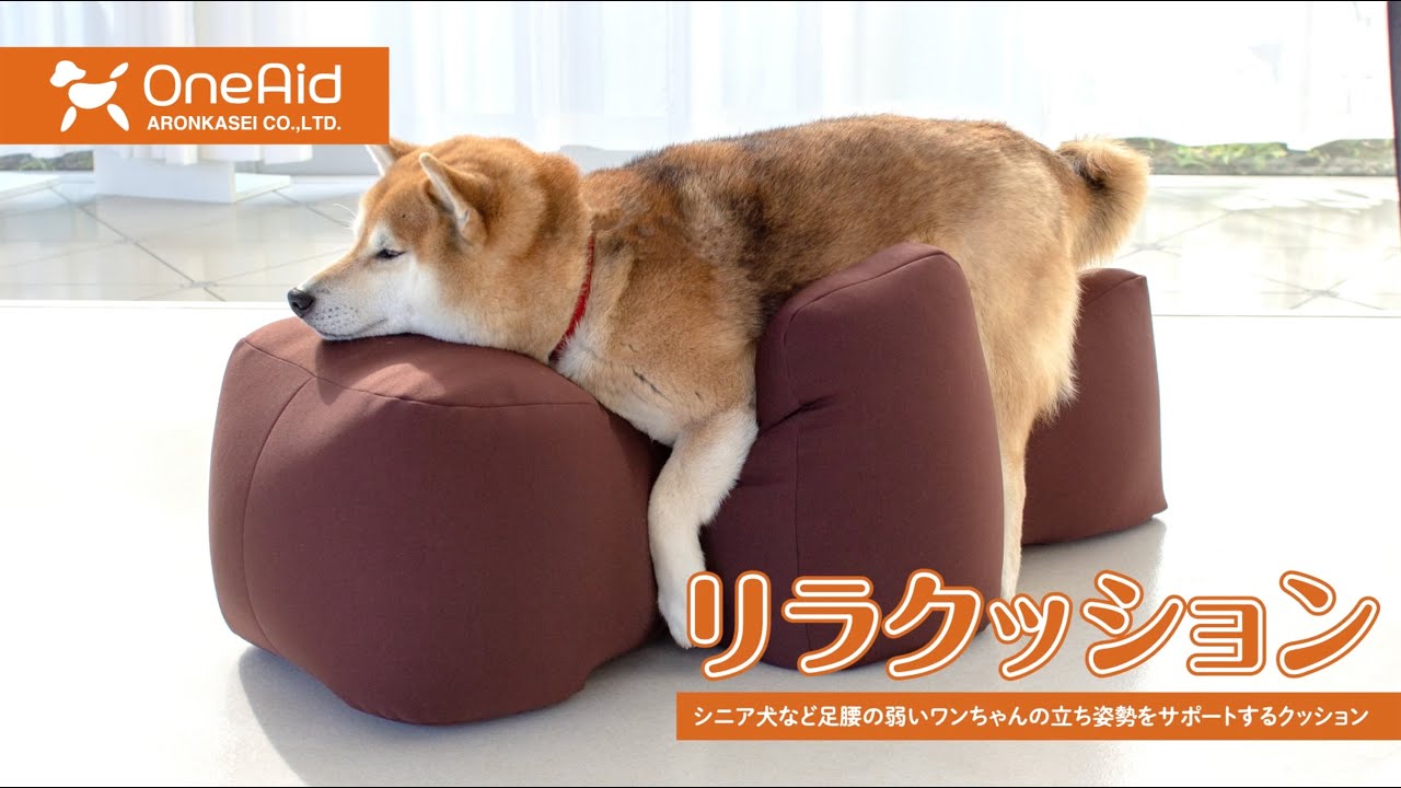 リラクッション M ブラウン 【公式通販】