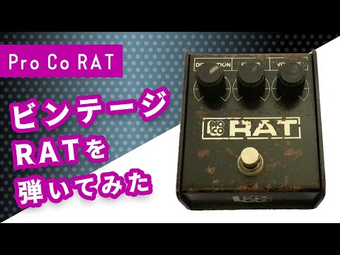エフェクター紹介】ビンテージRATを弾いてみた！【Pro Co RAT】 - YouTube