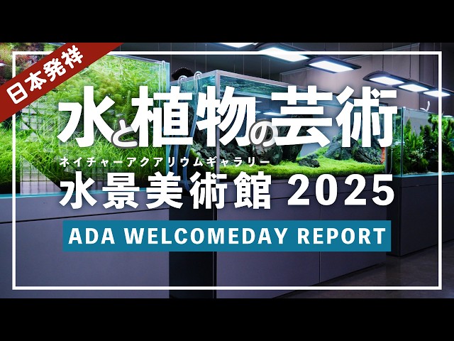 Aquarium] Just like an art museum! Introducing the entire