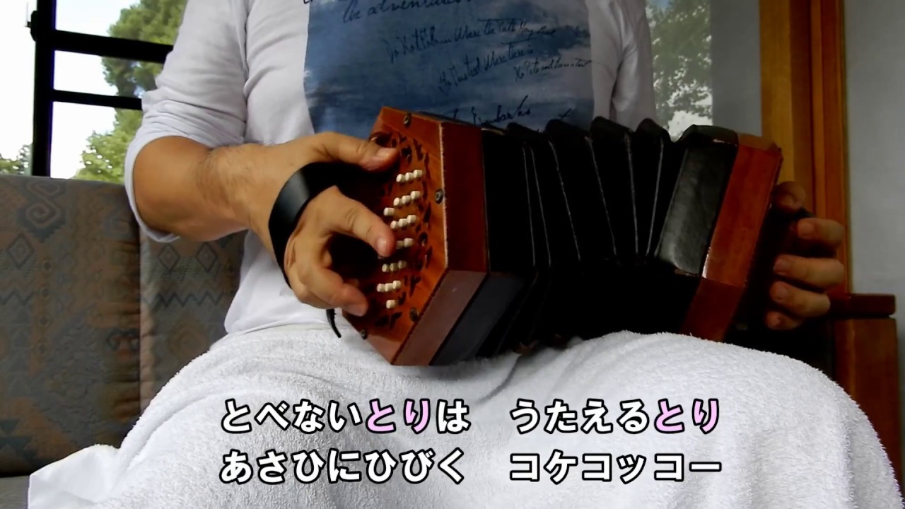 動作良好】Bastari コンサーティーナ 20ボタン アコーディオン コンサ