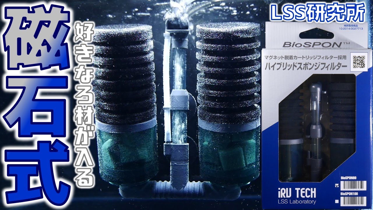 スポンジフィルター】磁石でガチャッと付くのが魅力。お好みのろ材を