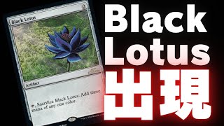 希少 睡蓮の花 black lotus スリーブ 未開封 希少 睡蓮の花 black