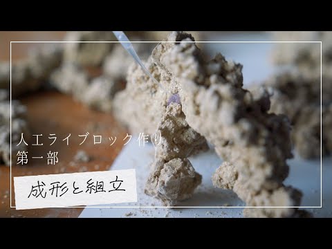 海水魚水槽】顔料とセメントで作る人工ライブロック【第一部】 - YouTube