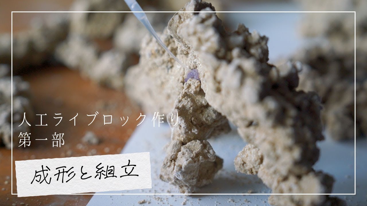 海水魚水槽】顔料とセメントで作る人工ライブロック【第一部】 - YouTube