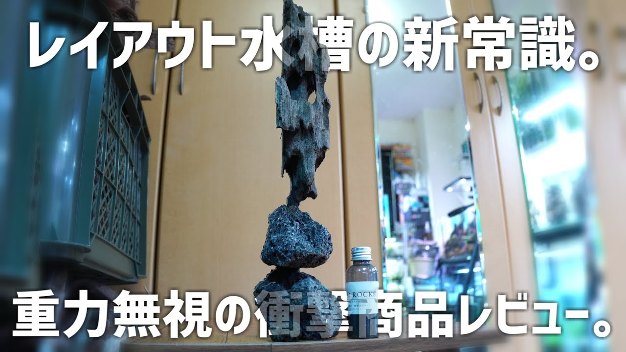 SAKURA 流木・岩セット SAKURA 流木・岩セット 流木 石 セット