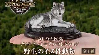 野生のイヌ科動物』いきもの大図鑑ディスプレイコレクション