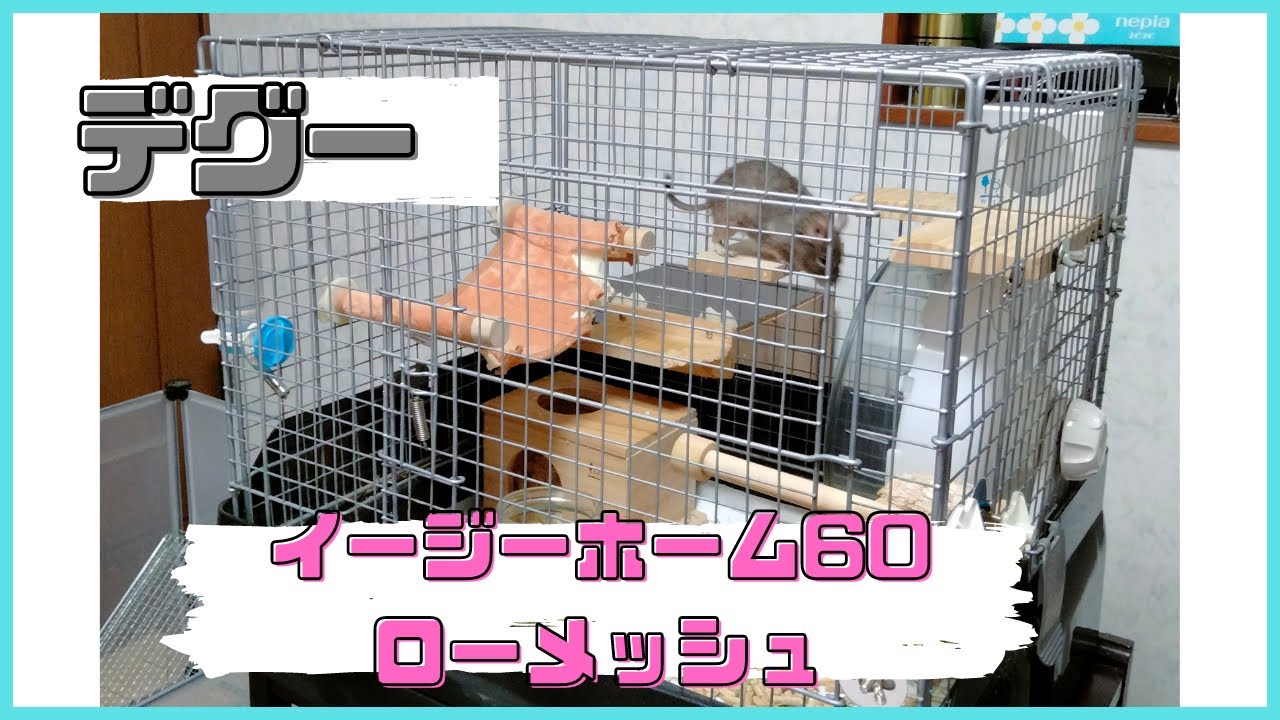 イージーホーム60 ローメッシュ