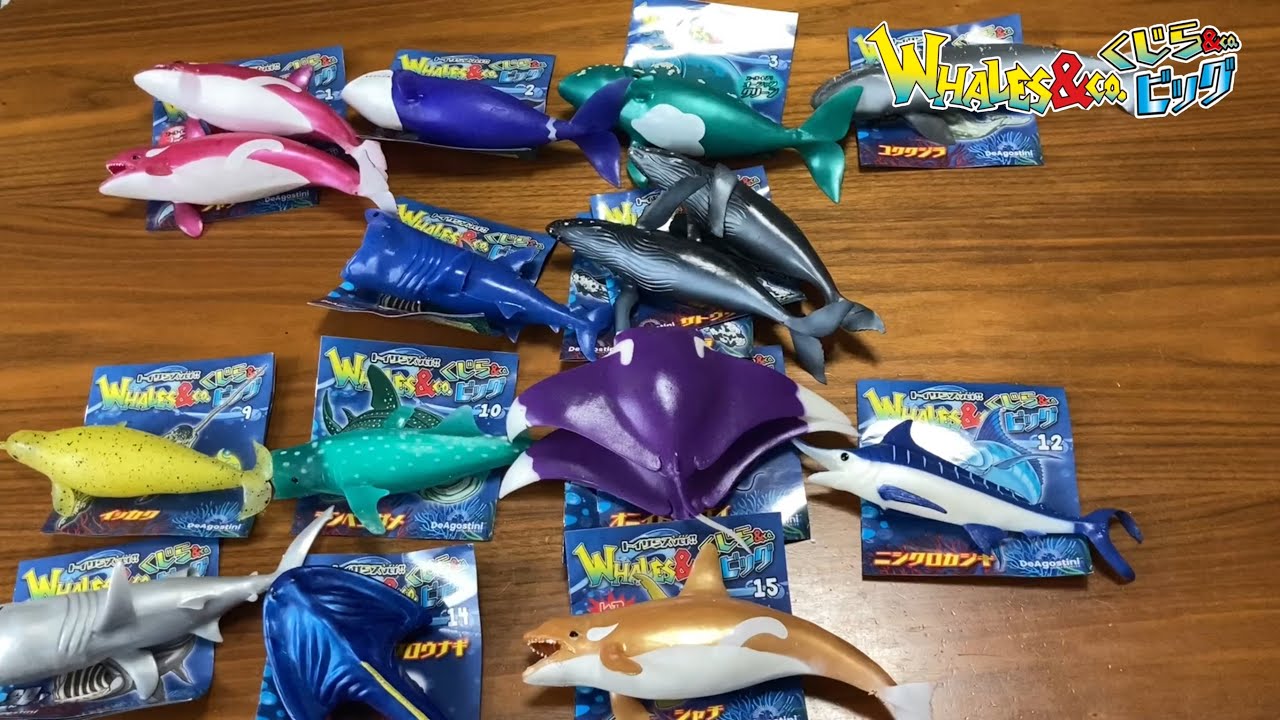 くじら＆Co.（アンドコ）ビッグ トイザらス ver!! 1BOX8袋入り 1BOX