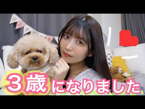 30,000 yen worth] Autumn/Winter clothes LOOKBOOK for my beloved