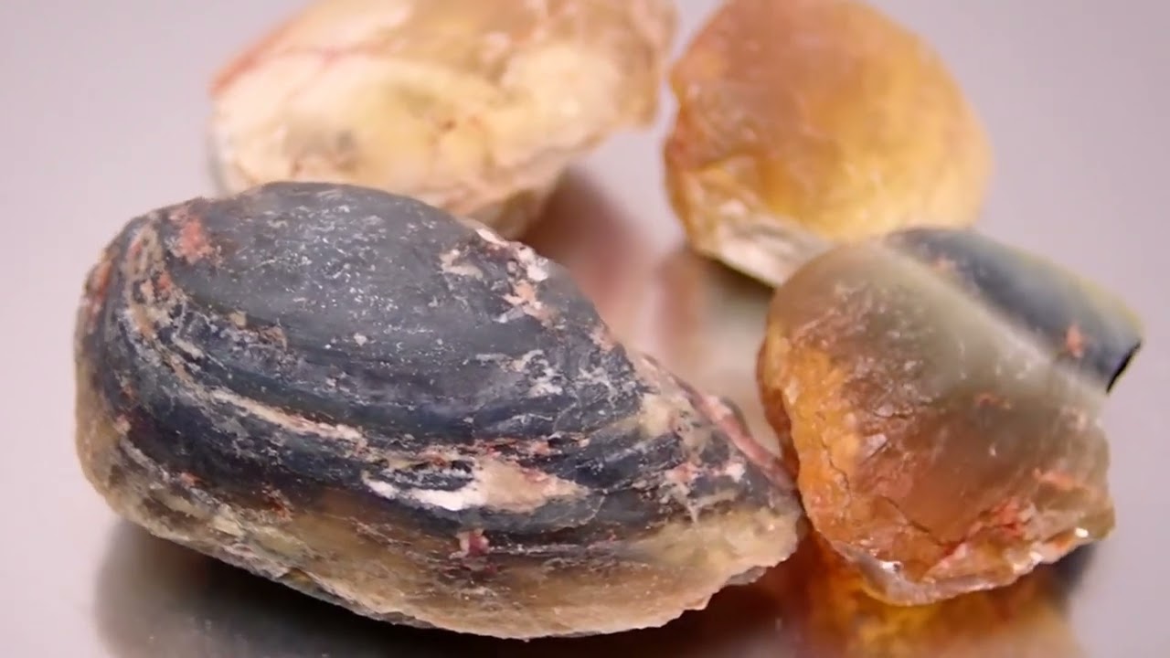 貝化石】シェルオパール/ブラックオパール標本【ライトニングリッジ産