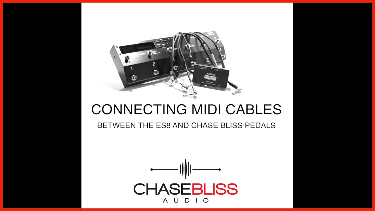 Empress midibox2【Chase bliss用改造承ります】 Empress midibox2