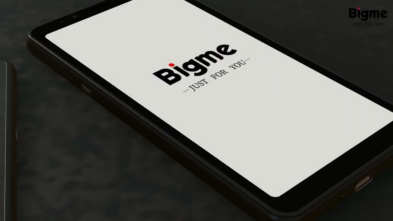 カラー電子ペーパー搭載スマホ「Bigme Hibreak日本語版」