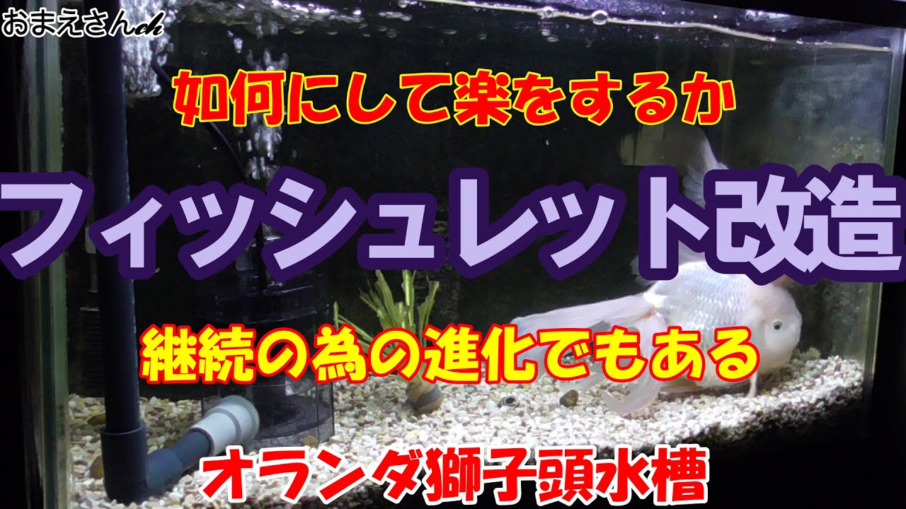 アクアリウム】フィッシュレット改造 - YouTube