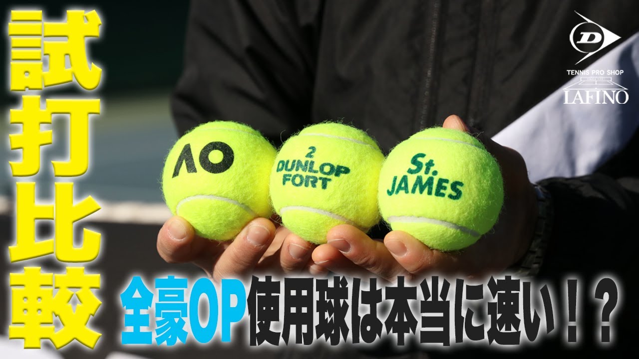 ダンロップ(DUNLOP) 硬式テニスボール フォート 2球入り (1箱 30缶 60