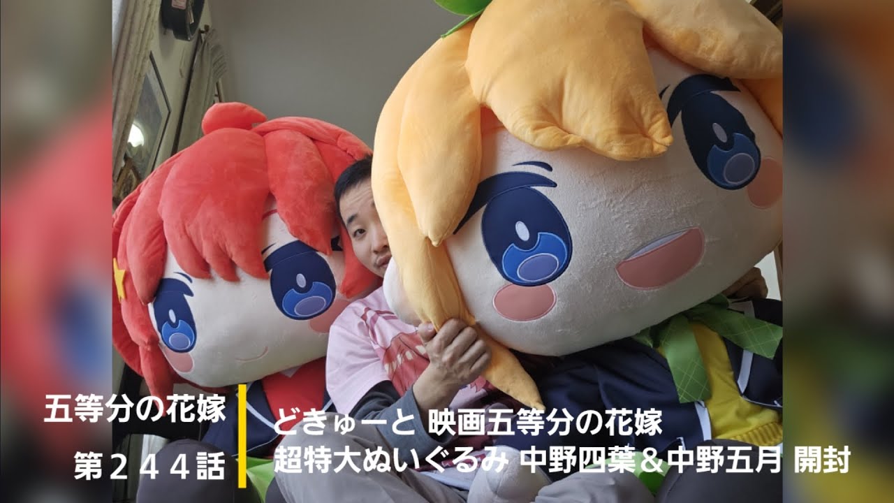 五等分の花嫁】第244話 どきゅーと 映画五等分の花嫁 超特大