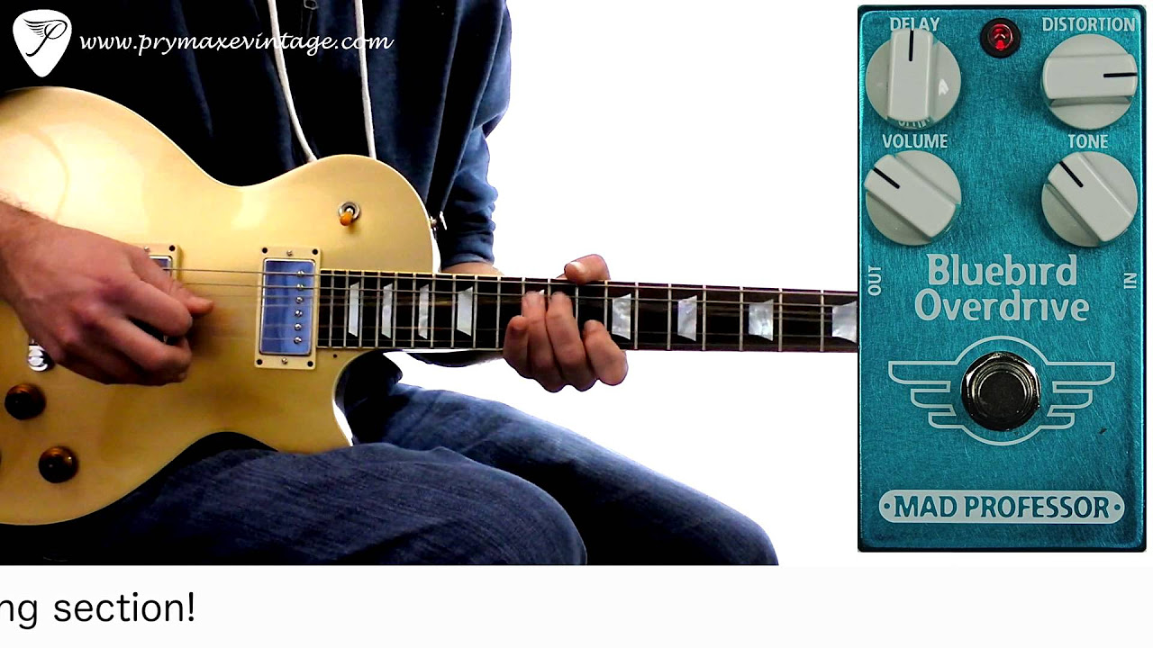 デジマートNew Gear Showcase】Mad Professor / Bluebird Overdrive