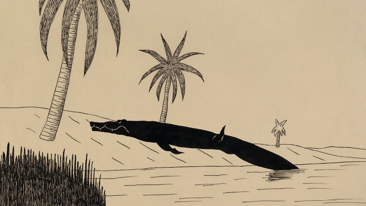 Old Crocodile - YouTube