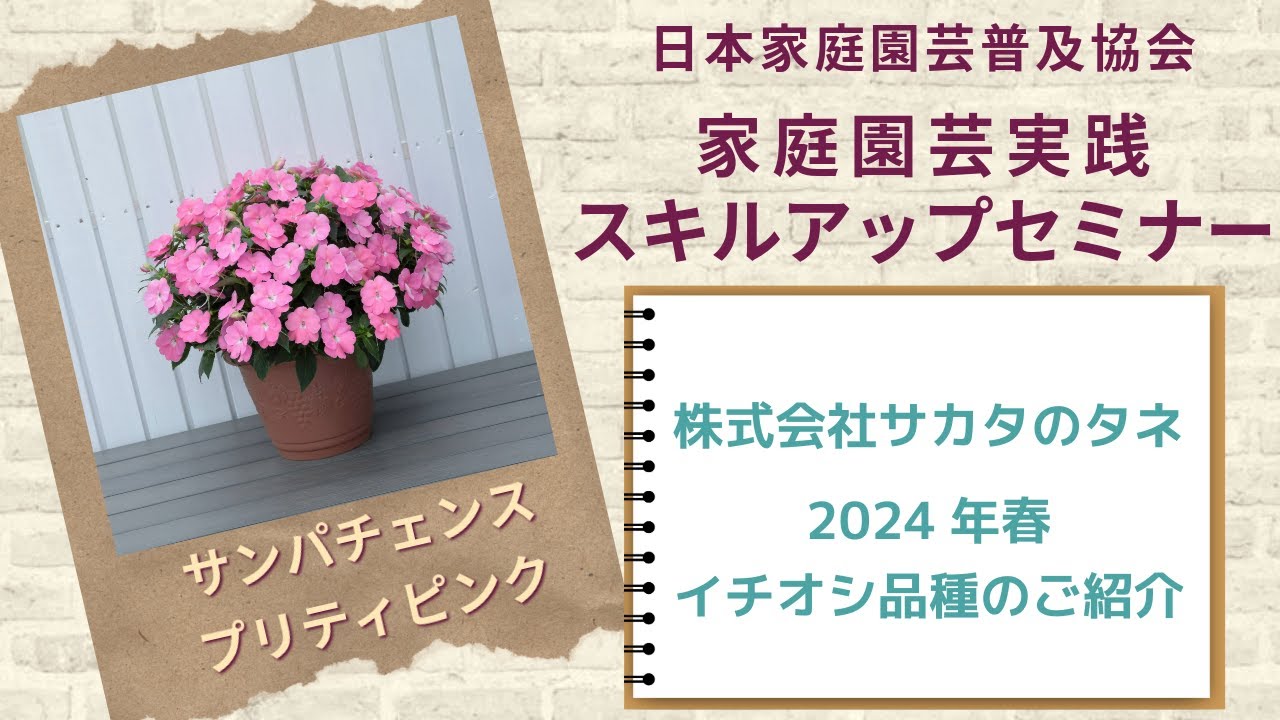 サカタのタネ 2024年春 イチオシ品種の紹介【家庭園芸実践スキルアップ