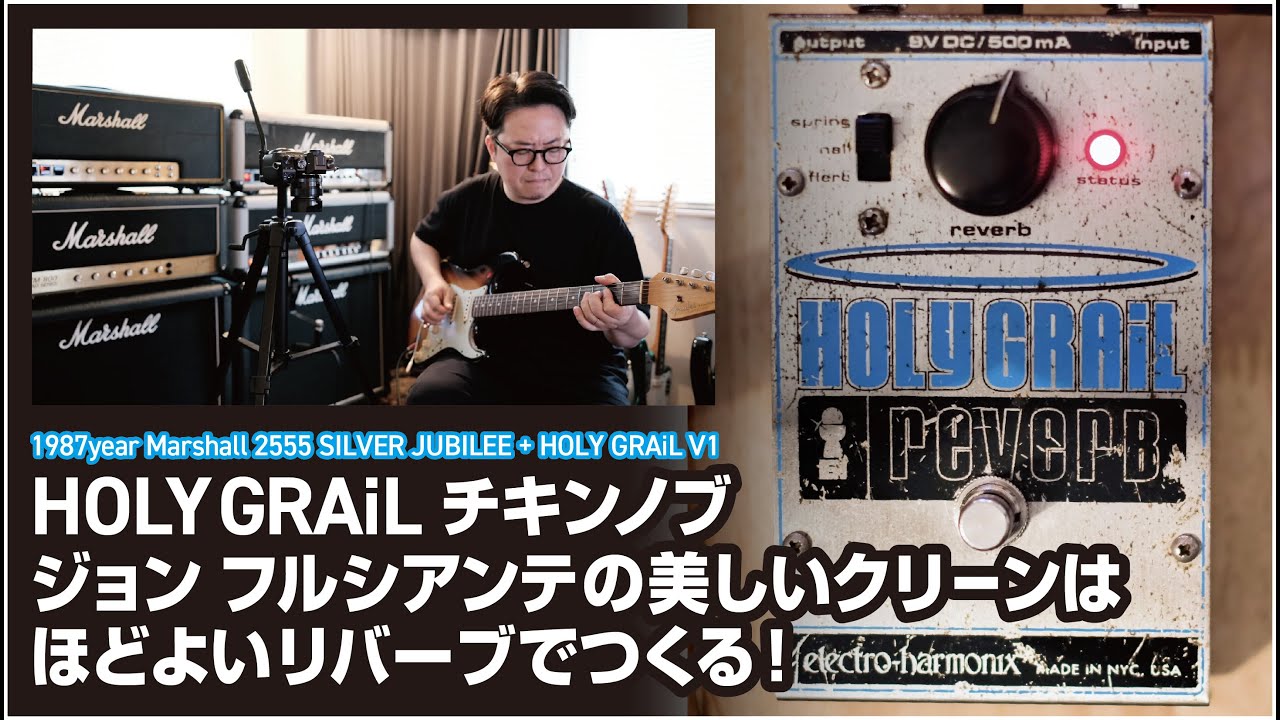 HOLY GRAiL 1st チキンノブ ジョン フルシアンテの美しいクリーン