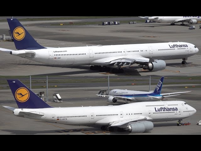 航空機・ヘリコプター Lufthansa aviationtag A340-600 航空機