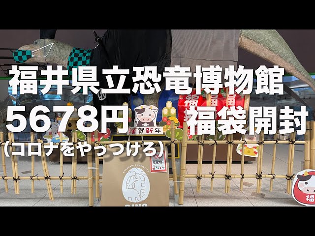 2021年1月6日 福井県立恐竜博物館 恐竜福袋開封 - YouTube