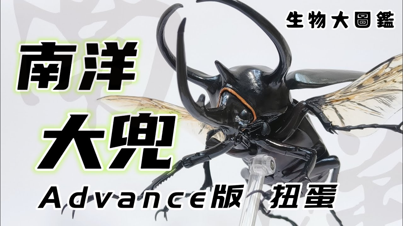 扭蛋系列］南洋大兜 生物大圖鑑 コーカサスオオカブト 、モーレン