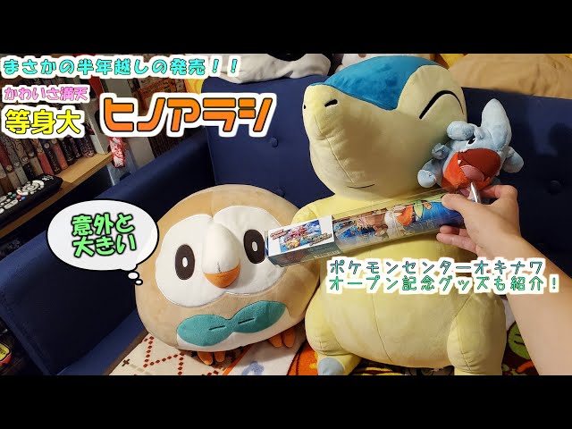 ポケモンセンター】まさか出るとは思ってなかった等身大ヒノアラシの