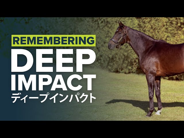 その他 960pcs deep impact THOROUGHBRED figure Super Thoroughbred