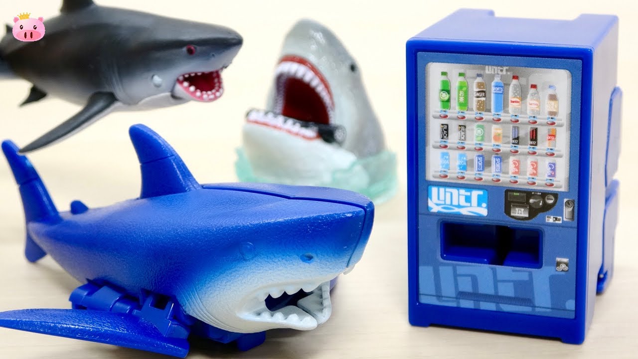 みそきんブームの波に乗るサメ GORHAM 147F SWで水面炸裂！ランカー連続