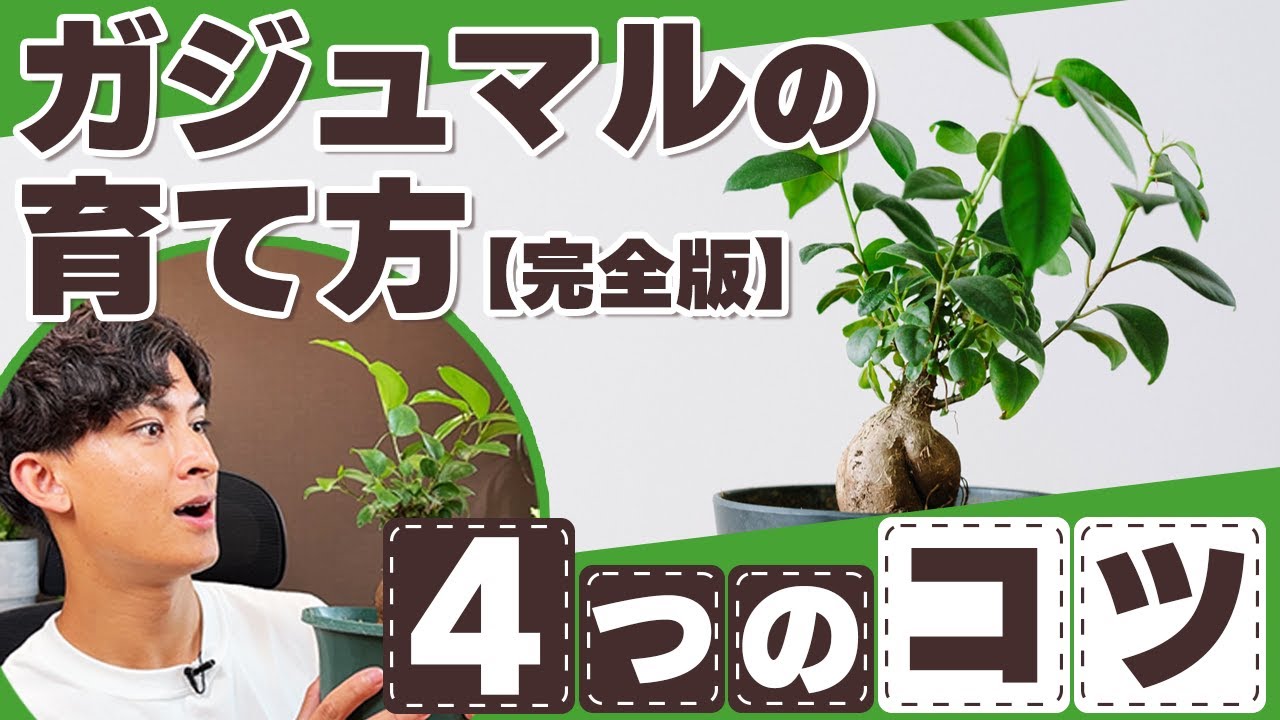 そらベジ🥝ガーデンハック - YouTube