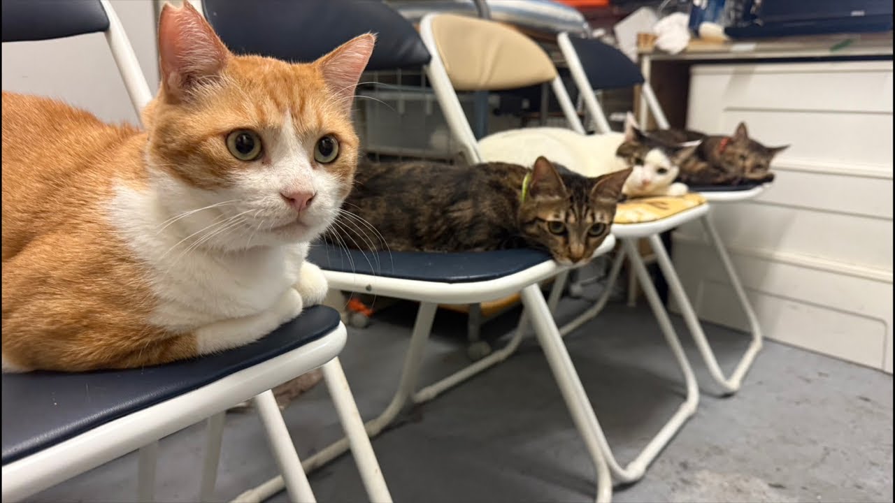 Monday live stream！ - YouTube