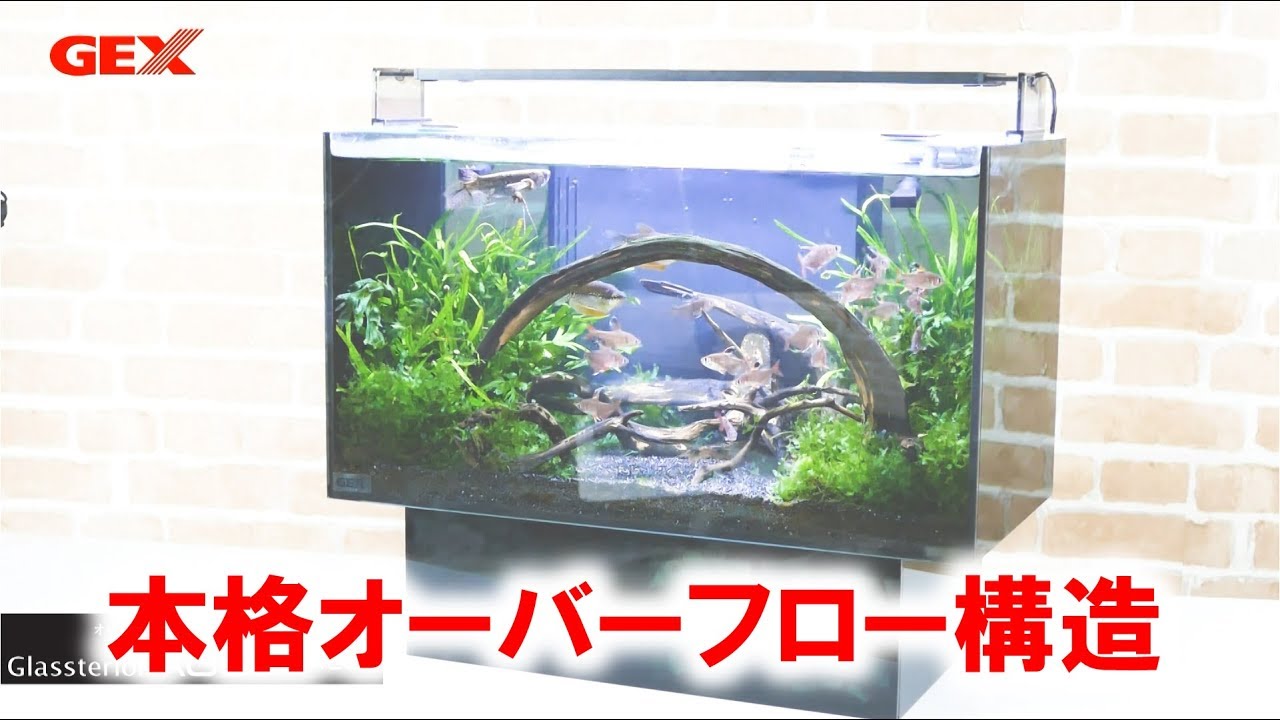 2019年新商品！グラステリアAGS OF450 本格インテリアオーバーフロー