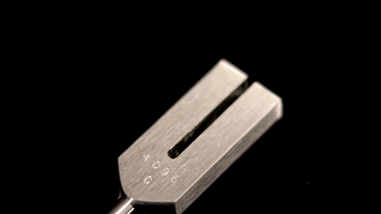 Biosonics Crystal Tuner Tuning Fork - Gongs Unlimited