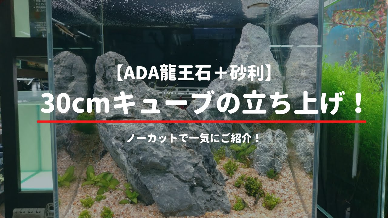 First Person View] Launching the 30cm Cube Dragon King Stone