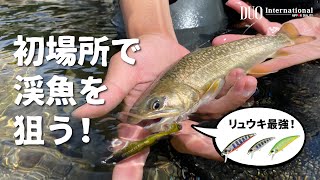 激レア品 Kinetiquettes リュウ ＆ 狂オシキ鬼 2体セット 激レア品