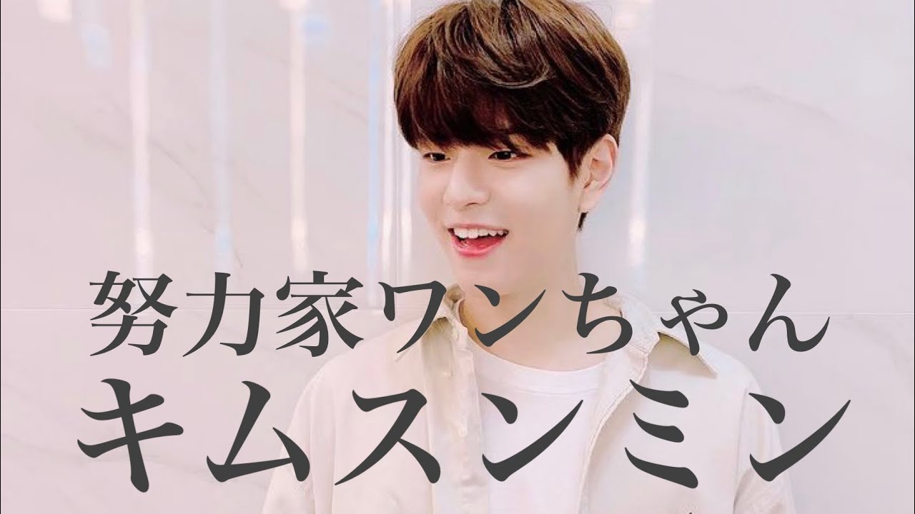 初心者さん向け、スンちゃんの紹介動画🐶〈StrayKids/スキズ/Seungmin