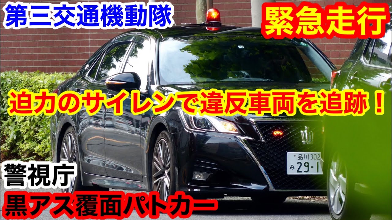 迫力のサイレンで違反者を追跡！】警視庁 3交機 黒アス覆面パトカーの